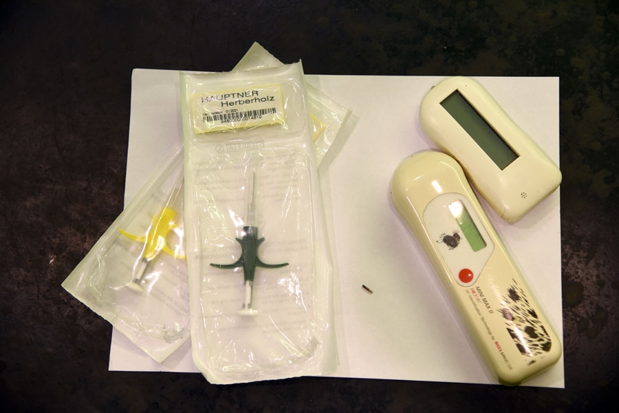 Mikroshēmas ievieto ar vienreizēju šļirču palīdzību, un tās var nolasīt ar attēlā redzamajām iekārtām. Mikroshēma – tas ir sīkais «gruzis» pa vidu instrumentiem.
Autors: Uldis Varnevičs