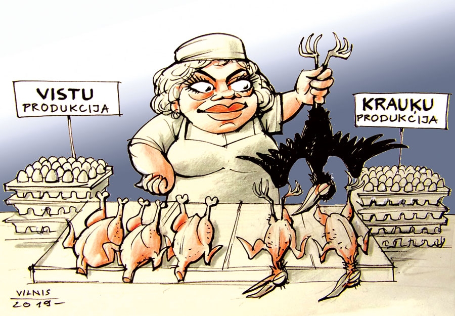 «SĒJAS VĀRNAS» PIESAKA PAVASARI. FAKTS: krauķi jeb «sējas vārnas» atkal apsēduši Bausku, Iecavu un citus novadus, un ierobežot to ligzdošanas vietas neizdodas.
Manīti jau cīrulīši,/ Lāso sniega pulkstenīši,/ Krauķi atgriezušies mājās,/ Savā modē sarunājas./ Streso ļaudis ne pa jokam,/ Redzot pērkļus parka kokos,/ Cik vēl ilgi, sadēs olas,/ Pašiem būs savs «baltikovo»./ Miķelis gan šito jezgu/ Nevērtē kā cietu mezglu,/ Dabas sakārtotās lietās/ Arī krauķiem sava vieta./ Zoologiem jānāk talkā/ Putnu sadzīvē tik smalkā,/ Tikai ne kā citos gados,/ Krauķēnus kad bēra maisos.
Autors: Zīmējums – Vilnis Bulavs, rīmes – Daina Ziemele