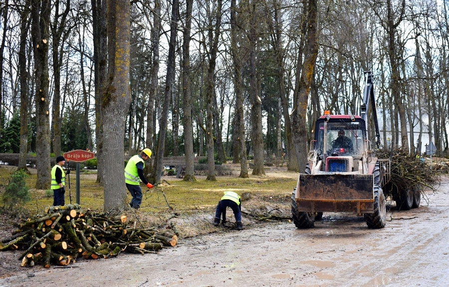 Autors: Žanna Zālīte