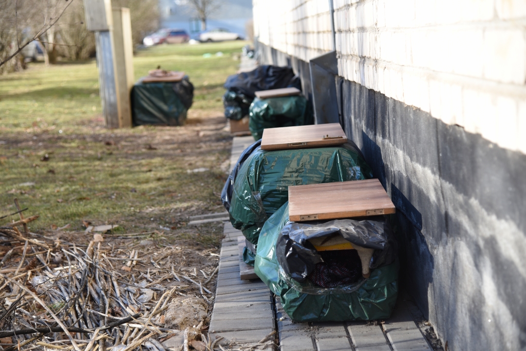Pie Dārza ielas 24./2. nama bija izvietotas apmēram desmit kaķu mājiņas.
Autors: Uldis Varnevičs