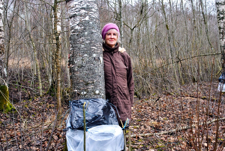Iveta Balgalve mežainajā zemes īpašumā.
Autors: Ruta Keiša