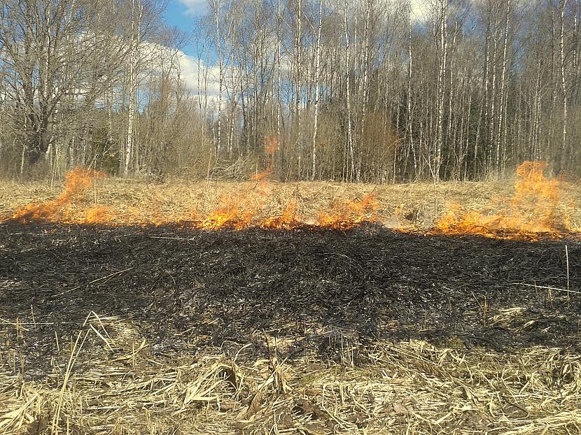 Fotoattēlam ilustratīva nozīme.
Autors: apollo.lv