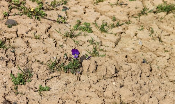 Autors: valmieraszinas.lv