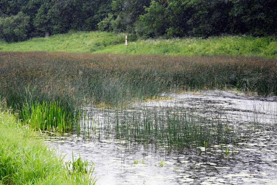 Mūsa Brunavas pagasta Grenctālē.
Autors: no «Bauskas Dzīves arhīva