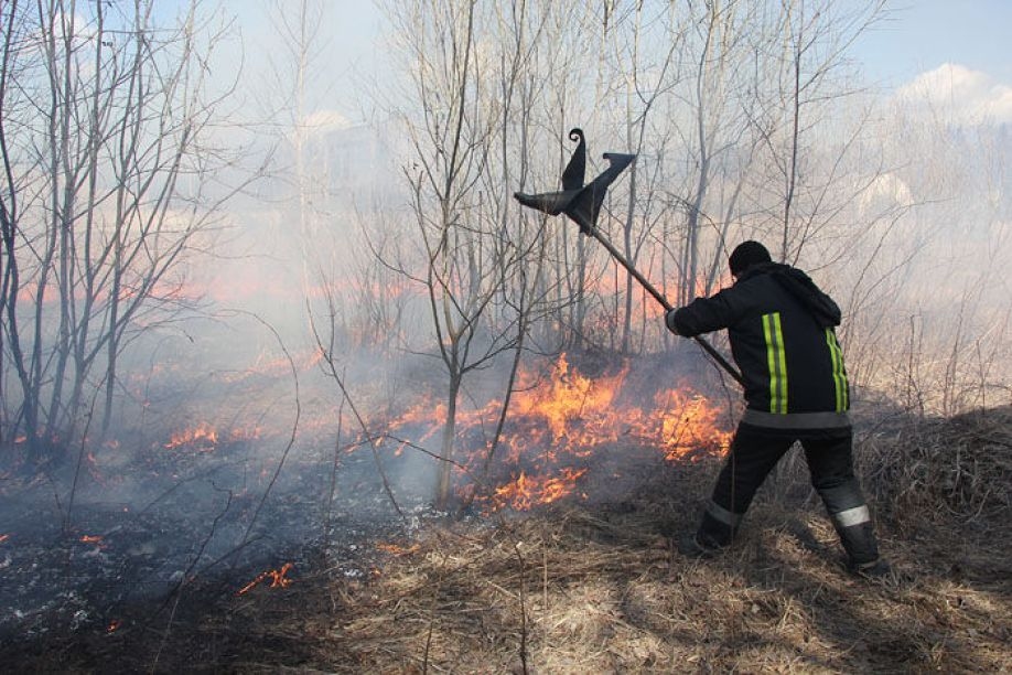 Fotoattēlam ilustratīva nozīme.
Autors: aprinkis.lv