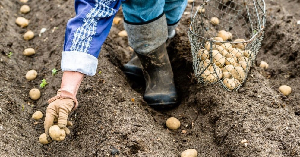 Autors: no «Bauskas Dzīves» arhīva