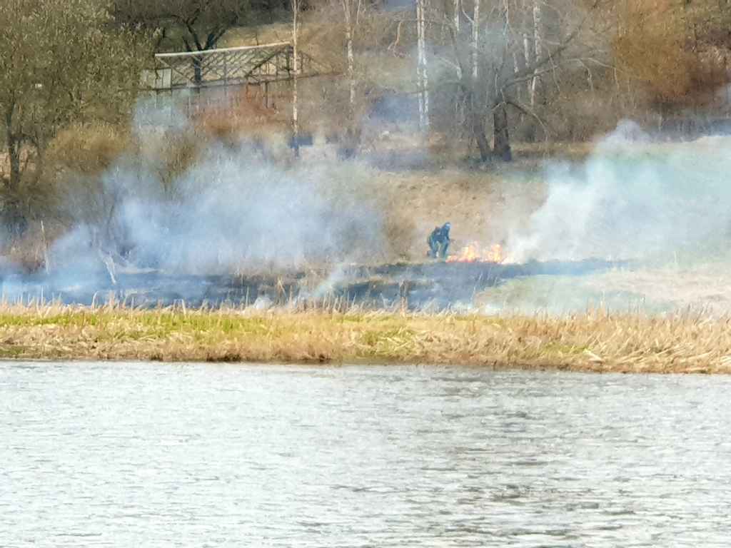 Autors: www.bauskasdzive.lv