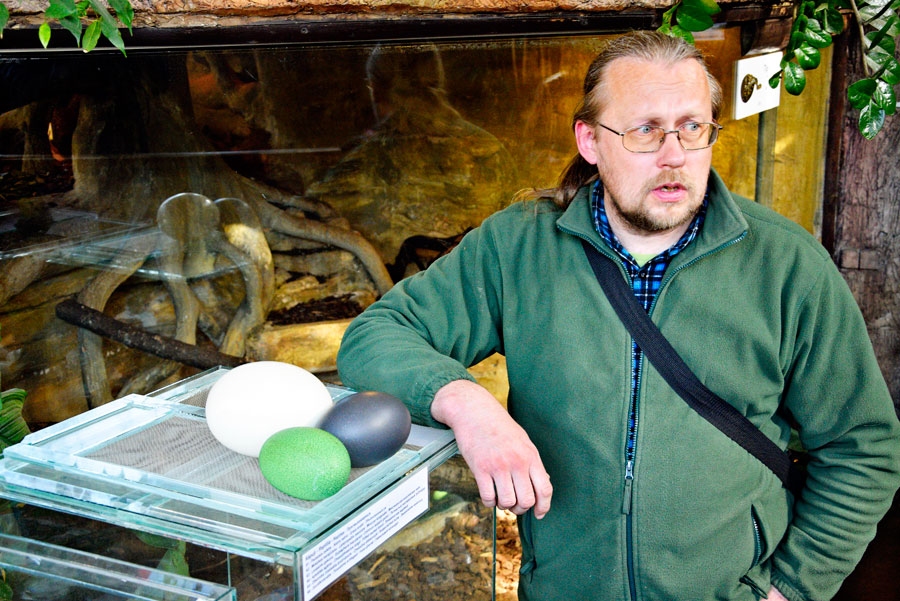 Māris Lielkalns, Nacionālā zooloģiskā dārza speciālists. Uz plaukta – kazuāra, strausa un emu olas.
Autors: Ivars Bogdanovs