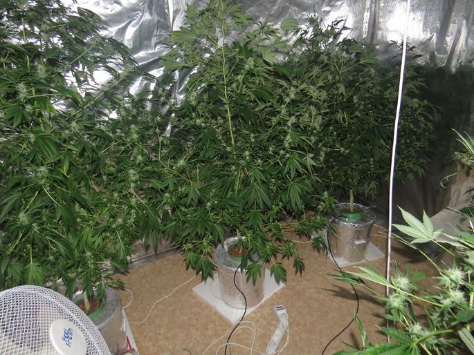 Fotoattēlam ilustratīva nozīme.
Autors: apollo.lv