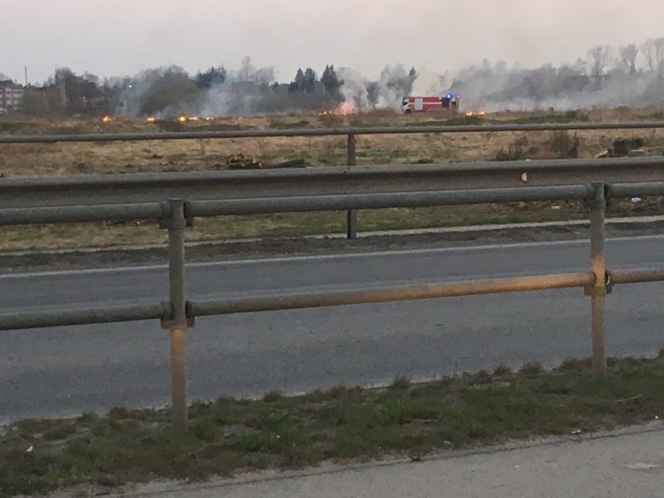 Autors: Aculiecinieka foto.