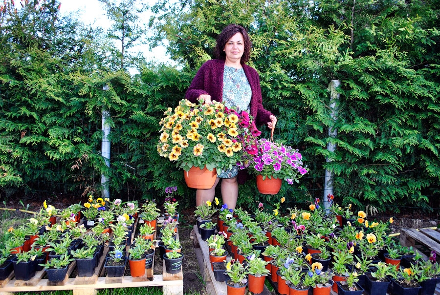 Aija Vilde pašaudzētās puķēs. Jubileja šogad svinēta dienu agrāk piemājas dārziņā, kur lielā katlā 25 viesiem vārīta zupa.
Autors: Māris Krūmiņš