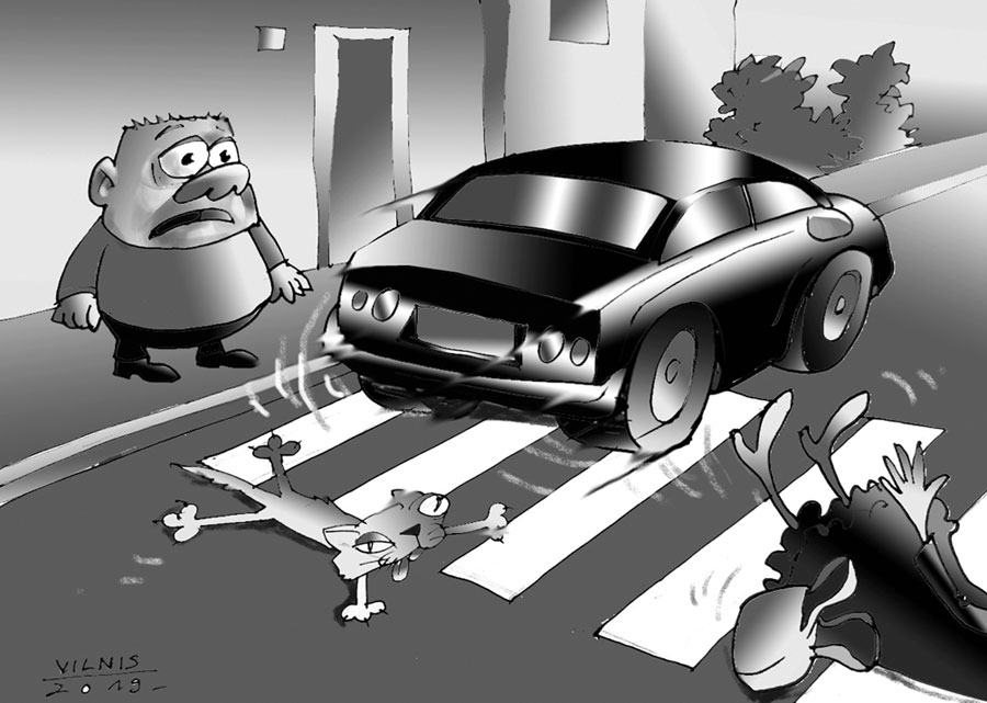 BĒDĪGA STATISTIKA. FAKTS: pieaudzis ceļu satiksmes negadījumos bojā gājušo skaits; šā gada četros mēnešos Latvijā dzīvību zaudējuši 38, pērn – 35 cilvēki, ievainoti attiecīgi 1103 un 1233 satiksmes dalībnieki, galvenokārt pārgalvības, neuzmanības un neremontēto ceļu dēļ.
Miķelim kļūst sēra dūša,/ Ceļā cilvēks krīt kā muša./ Cerīgi, ja trauma kājā,/ Bēdīgi, ja mūžs ir galā./ Auto biezums ielās baida,/ Savairojies to bez skaita./ Spara ratu jūklī gājējs/ Jūtas tā kā veiksmes lūdzējs:/ Manīs braucējs «svītru kodu»,/ Galvas vietā licis podu?/ Nerūp mājiens zēniem fiksiem –/ Lēnāk brauksi, tālāk tiksi./ Kamēr neprāts ceļos valdīs,/ Grambas braucamrīkus svaidīs,/ Apstākļi būs dramatiski,/ Nelīdzēs pat policisti.
Autors: Zīmējums – Vilnis Bulavs, rīmes – Daina Ziemele