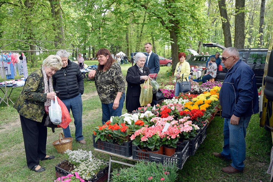 Stādu tirgotājiem Lielajā bazārā  izdevās puslīdz laba andele. Pircēji bija arī īslīcieša Augusta Beltes piedāvātajiem puķu dēstiem.
Autors: Ivars Bogdanovs