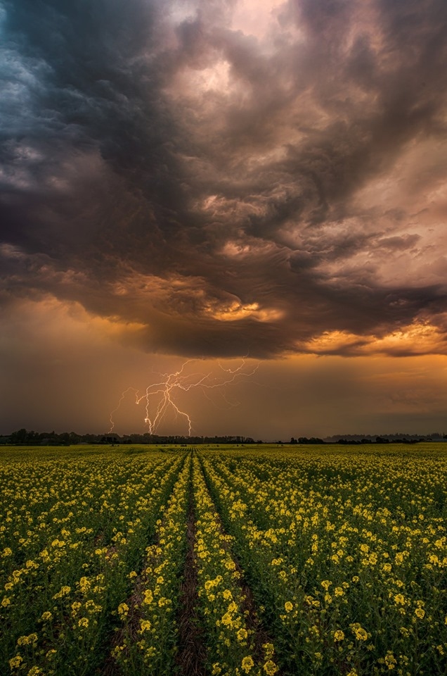 Autors: Jānis Paļulis