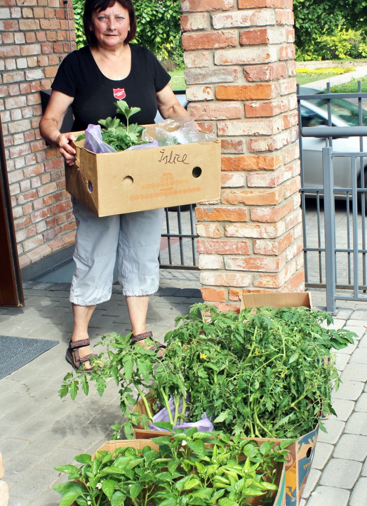 Velta Udarska sagādājusi stādus, ko nogādājusi projekta dalībniekiem.
Autors: no PA Bauskas korpusa arhīva
