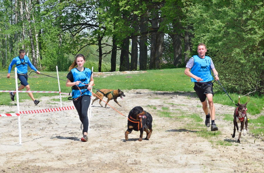 Biatlons ar suni ietver gan kanikrosu, gan šaušanu no pneimatiskās šautenes.
Autors: Ivars Bogdanovs