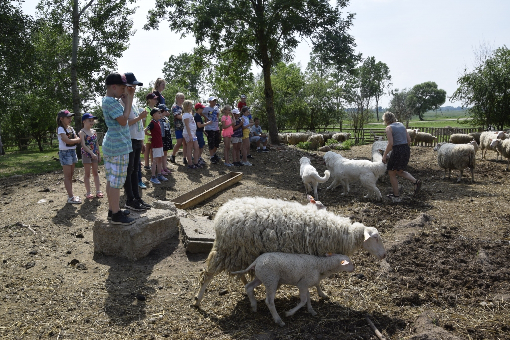 Autors: Ivars Bogdanovs