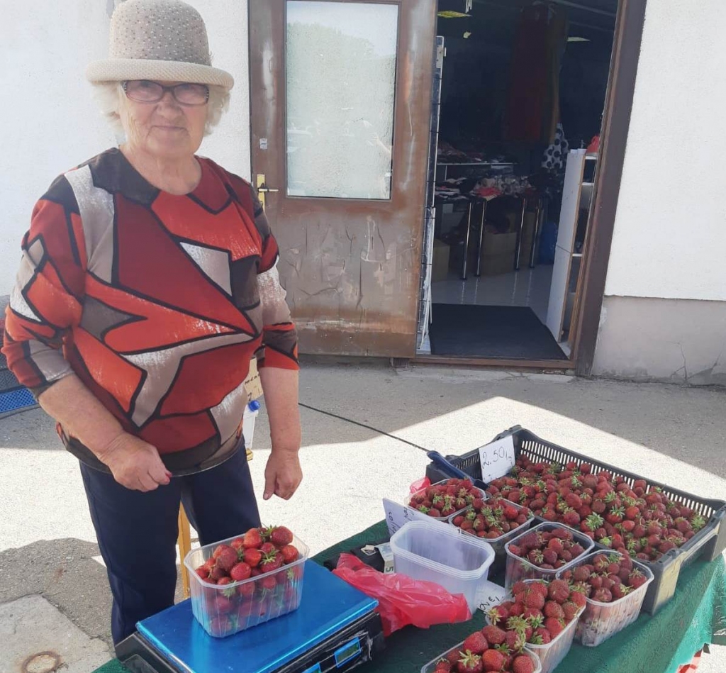Zemeņu audzētāja Elēna Banele sārtvaidzes audzē Vecsaules pagastā, trīs hektārus lielā saimniecībā.
Autors: Kaspars Kalējs