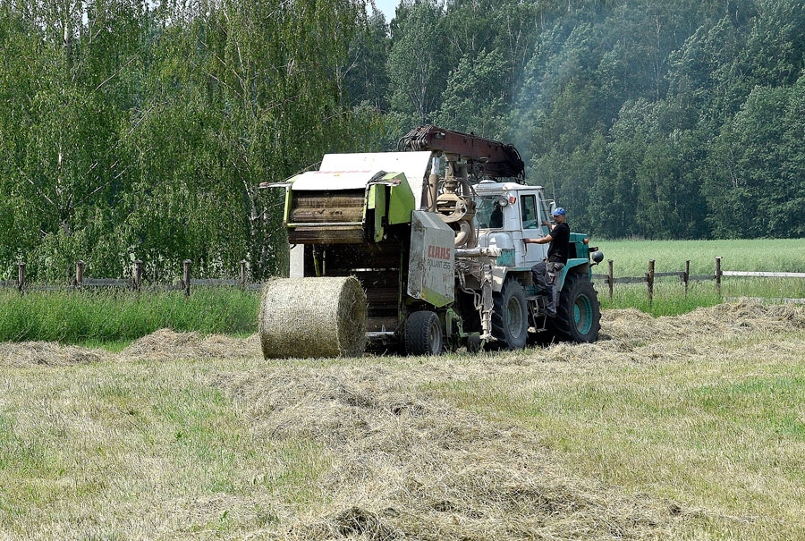 Autors: Ivars Bogdanovs