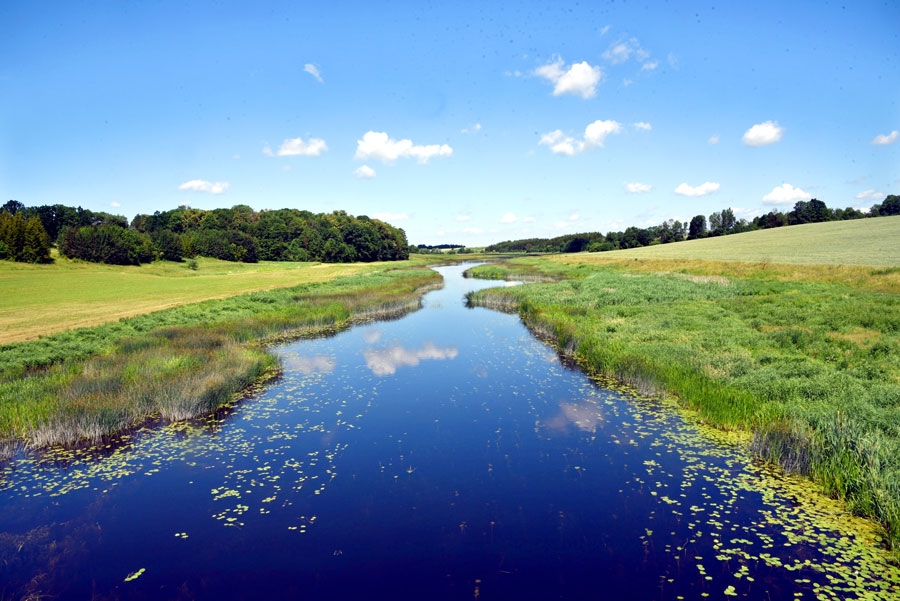 Mūsa pie Žilpamūšis ciema Pasvales rajonā.
Autors: Uldis Varnevičs