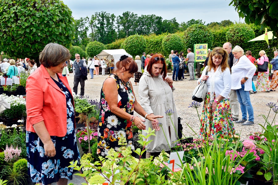 Stādu piedāvājuma daudzveidība patiesi ieinteresēja Rundāles Dārza svētku apmeklētājus.
Autors: Ivars Bogdanovs