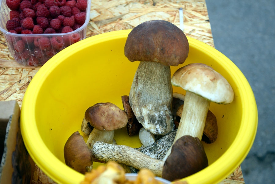 Autors: Ivars Bogdanovs