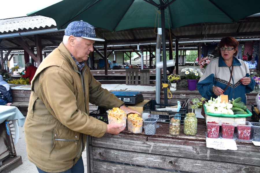 Autors: Ivars Bogdanovs