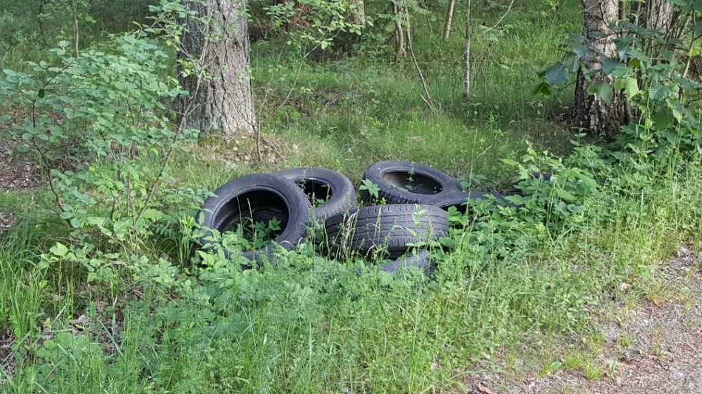 Attēlam ir ilustratīva nozīme.