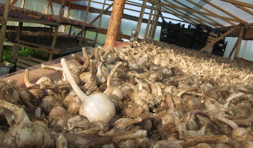 Fotoattēlam ilustratīva nozīme.
Autors: edruva.lv