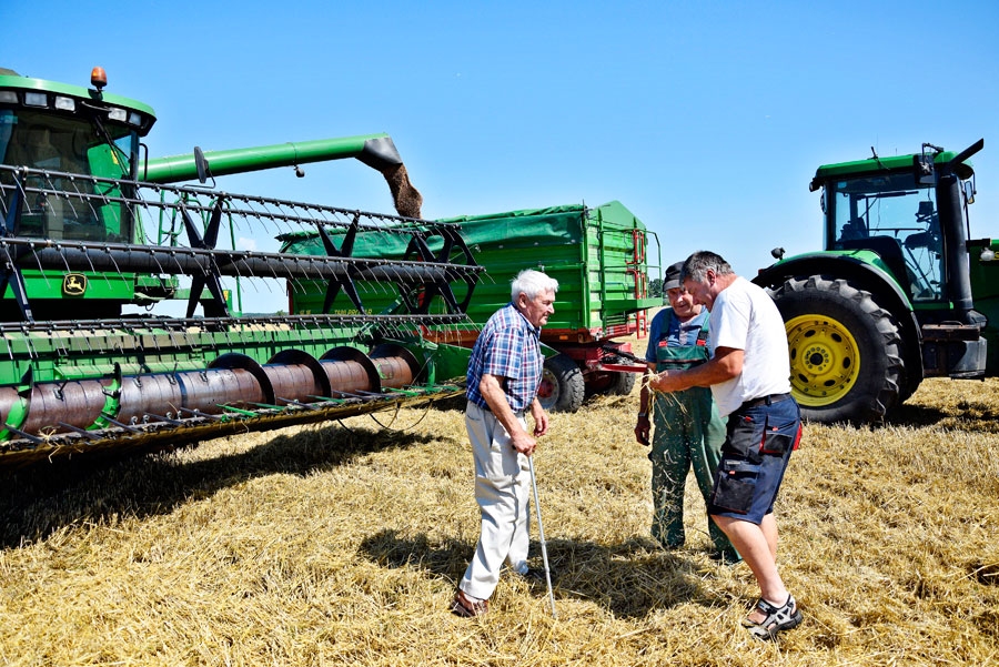 Pļaujas laiks. Ulda Purvišķa zemnieku saimniecībā «Purvišķi» Bauskas novada Gailīšu pagastā un viņa dēla Raita Purvišķa SIA «Maiss-RP» Codes pagastā apstrādā 200 hektāru. Audzē ziemājus, kviešus un rapšus, kas 20 hektāros nokulti, iegūstot 3,3 tonnas no hektāra. Tikko sākusies kviešu šķirnes ‘Edvīns’ pļauja; nokulti aptuveni septiņi hektāri, 50 tonnas graudu nodoti gan Bauskas novada Codes pagasta «Ciņos», gan lauksaimniecības pakalpojumu kooperatīvās sabiedrības «Latraps» Bauskas graudu pieņemšanas kompleksā. Tad kārta būs vidēji agrajiem kviešiem ‘Skagen’. Attēlā – Uldis Purvišķis (no kreisās), mehanizators Jānis Ģērve un Raitis Purvišķis.
Autors: Ivars Bogdanovs