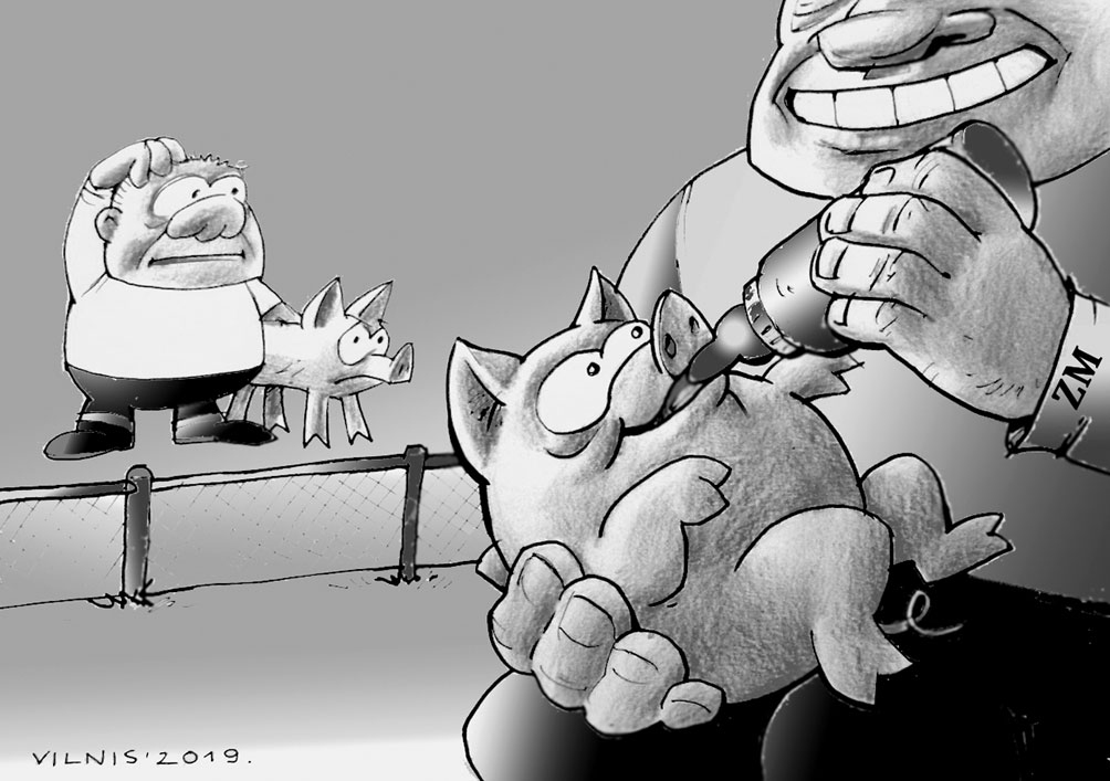 «ZAĻAIS SKANDĀLS». FAKTS: Valsts kontroles revīzija atklājusi, ka Zemkopības ministrija gadiem ilgi atbalstījusi deviņas ietekmīgākās šīs nozares nevalstiskās organizācijas, neizskaidrojot, kādiem mērķiem izlietota no valsts budžeta un Eiropas fondiem novirzītā nauda – vairāk nekā desmit miljonu eiro gadā, tādējādi veidojot «slēgto klubiņu», kas darbojas tikai savu interešu vadīts.
Zemkopības ministrija/ Stipri koruptīva bija,/ Izrādījās goda neskarts/ Zaļo pārvaldības standarts./ Šķiet, par atklātību cīnās,/ Vēlāk paši par to brīnās –/ Kādas atskaites jums prātā,/ Esam izredzēto kārtā!/ «Uzturnauda» nelīdzēja,/ Miķelis jo gardi smēja,/ Valdīšana nesanāca,/ Zaļzemnieki dusmās šņāca./ Valstī visur naudas trūkst,/ Dažs no pārticības tūkst,/ Kas tās upes aizbērs ciet,/ Nodokļi kur slepus iet?
Autors: Zīmējums – Vilnis Bulavs, rīmes – Daina Ziemele