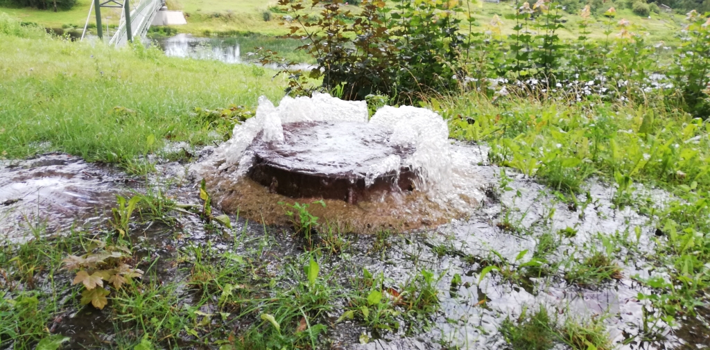 Autors: Aculiecinieka foto.