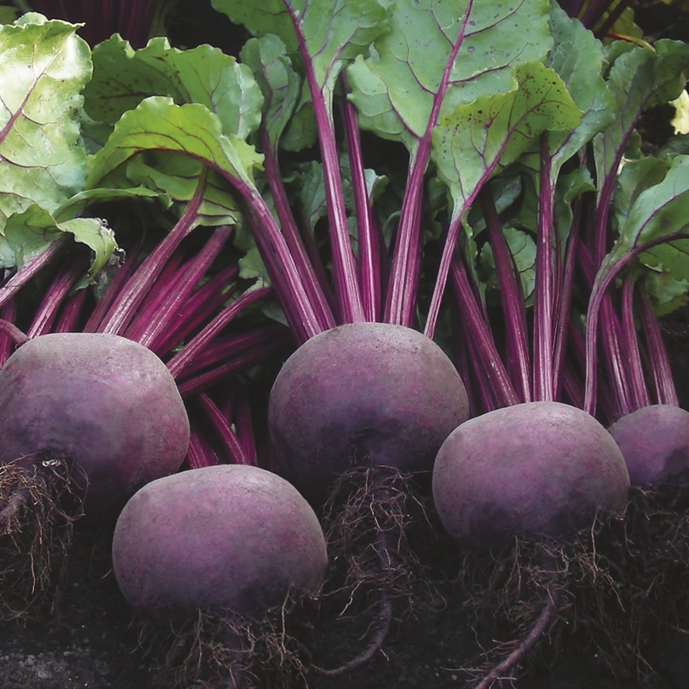 Autors: no e-saimnieciba.lv