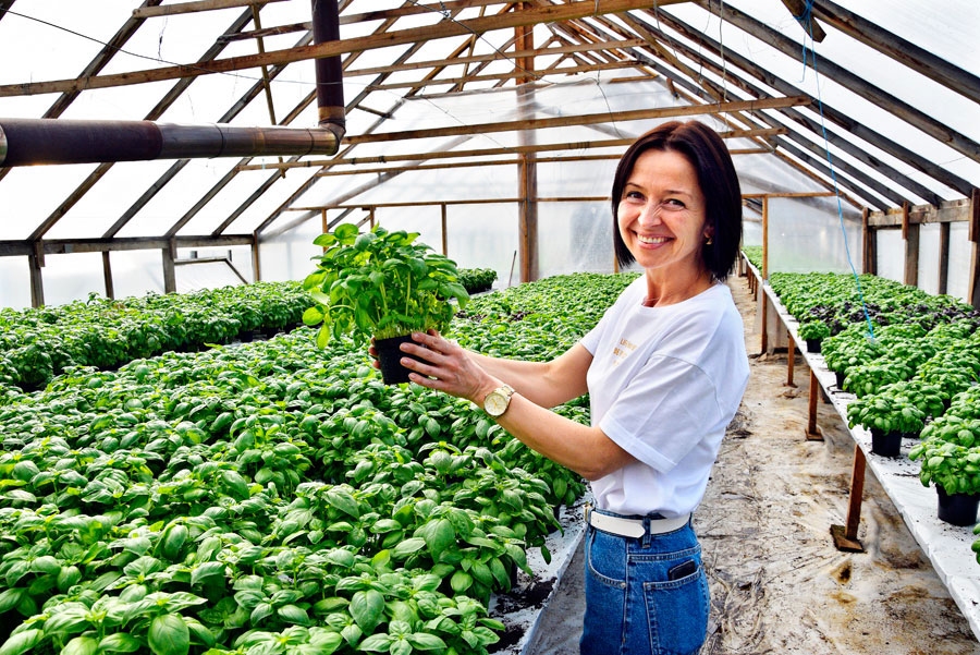 Hēlija Stepanoviča-Monkeviča, salātu, zaļumu un dārzeņu audzēšanas saimniecības SIA «Letis» saimniece.
Autors: no «Bauskas Dzīves» arhīva