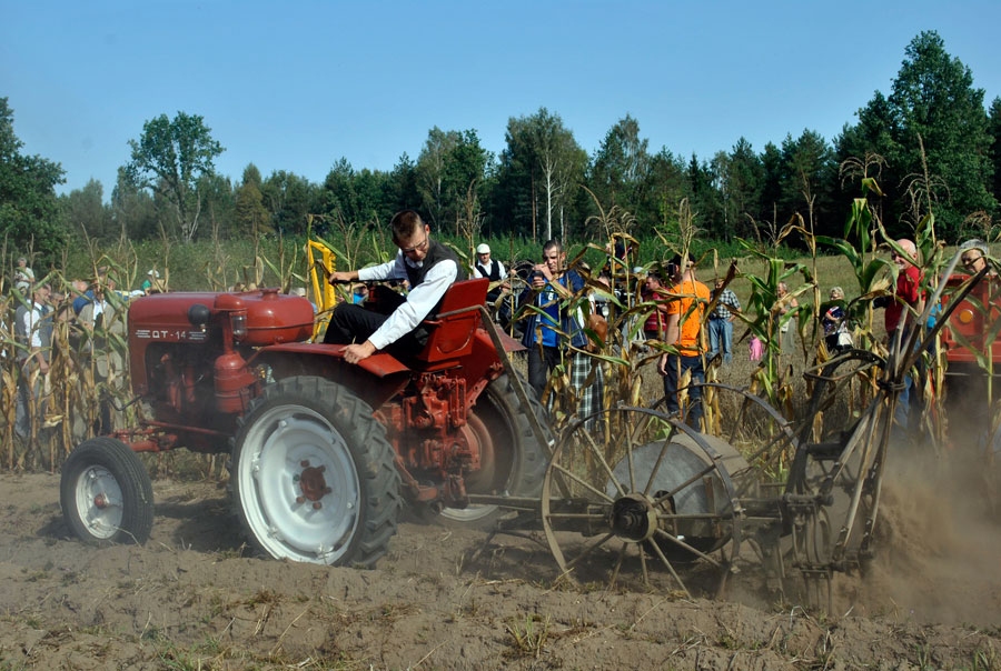 Ausekļu dzirnavās Pļaujas svētkus rīko muzeja iedzīvināšanas, senā latviešu dzīvesveida izzināšanas nolūkos.
Autors: no «Bauskas Dzīves» arhīva