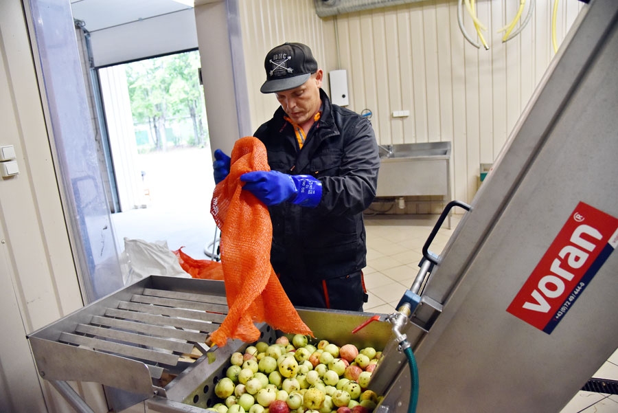 Jānis Kronbergs jaunās ābolu sulu spiedes testus pirms darbu sākšanas veica pats.
Autors: Uldis Varnevičs