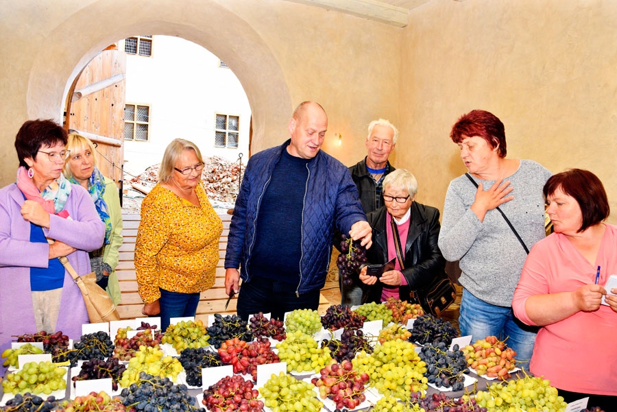 Vīnkopja Gata Kužuma (vidū) vērtīgajā pieredzē apmeklētāji ieklausās ar lielu interesi.
Autors: Ivars Bogdanovs