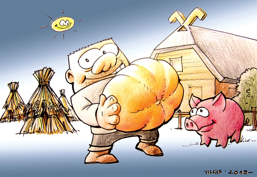 SŪRAS SAKNES, SALDI AUGĻI. FAKTS: Miķeļi ir rudens saulgrieži un gada auglīgākās daļas aizvadīšanas svētki, kad daudzina auglības simbolu Jumi un kad visai ražai jābūt zem jumta; brīvdienas ieteicams pavadīt kopā ar ģimeni pie dabas.
Miķelim svētki – tas fakts,/ Vienādgara diena un nakts./ Priecīgs jubilārs bez gala,/ Rudens dāsni ražu dala,/ Bagāts maizes graudu kūlums,/ Dārzeņu un augļu guvums,/ Žigli āboliem spiež sulu,/ Ziemai darīs dziru dullu./ Mežs ar veltēm skopāks bijis,/ Pārāk maz ir lietus lijis,/ Izkaltusi sūnu sega,/ Neaug bērzlape, nedz beka./ Miķelim ir tāda daba –/ Svētkos pamācība tapa:/ Baudīsi kad cepelīnus,/ Neaizmirsti vitamīnus,/ Nepārsteidz lai vēdermokas,/ Tīrus mazgā traukus, rokas!
Autors: Zīmējums – Vilnis Bulavs, rīmes – Daina Ziemele