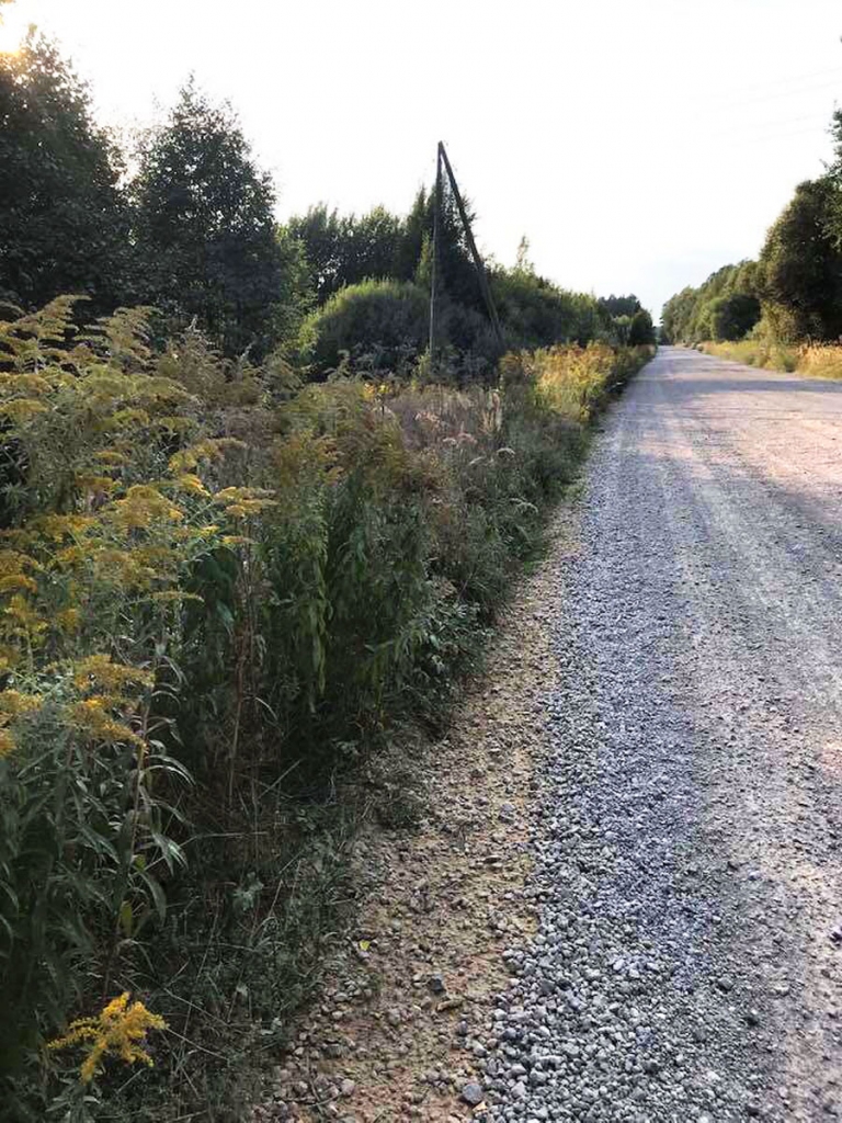 Ceļa uz Misu nenopļautās apmales šovasar radīja grūtības pamanīt dzīvniekus ceļa malās.
Autors: no Janas Dienas albuma.
