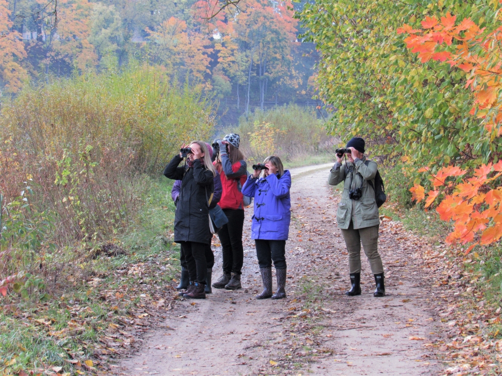 Arī pērn Bauskas pusē Putnu dienu ietvaros notikusi lidoņu vērošana.
Autors: No albuma.