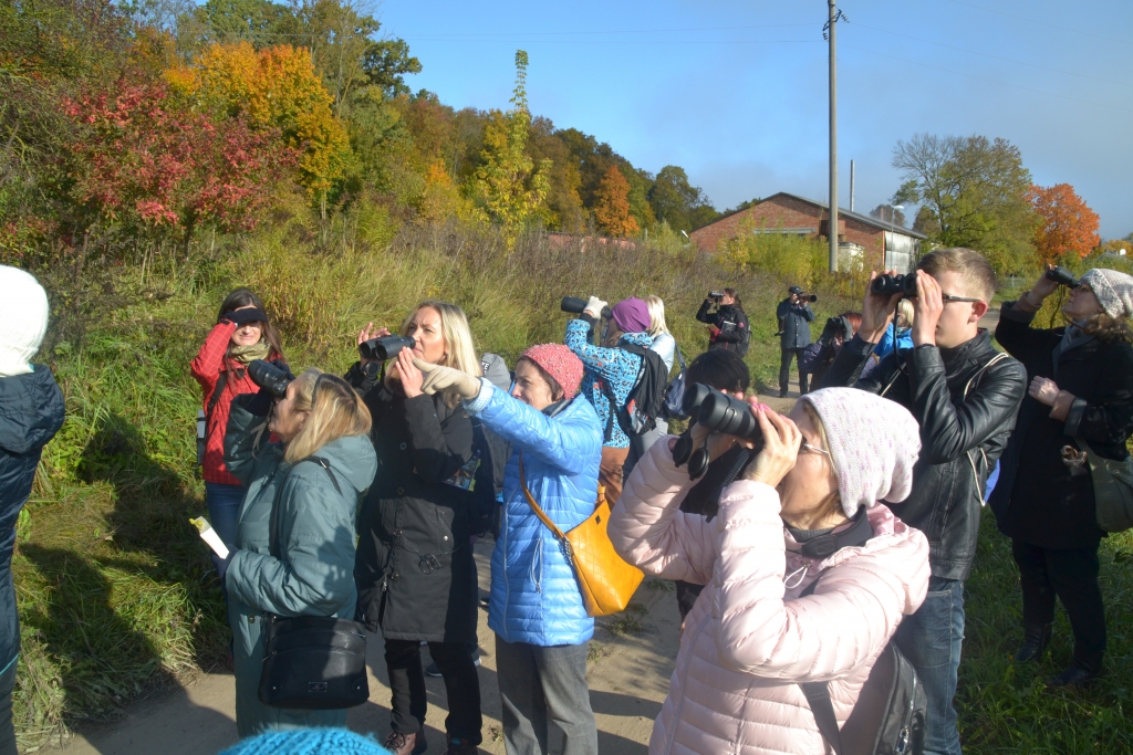 Autors: Kaspars Kalējs
