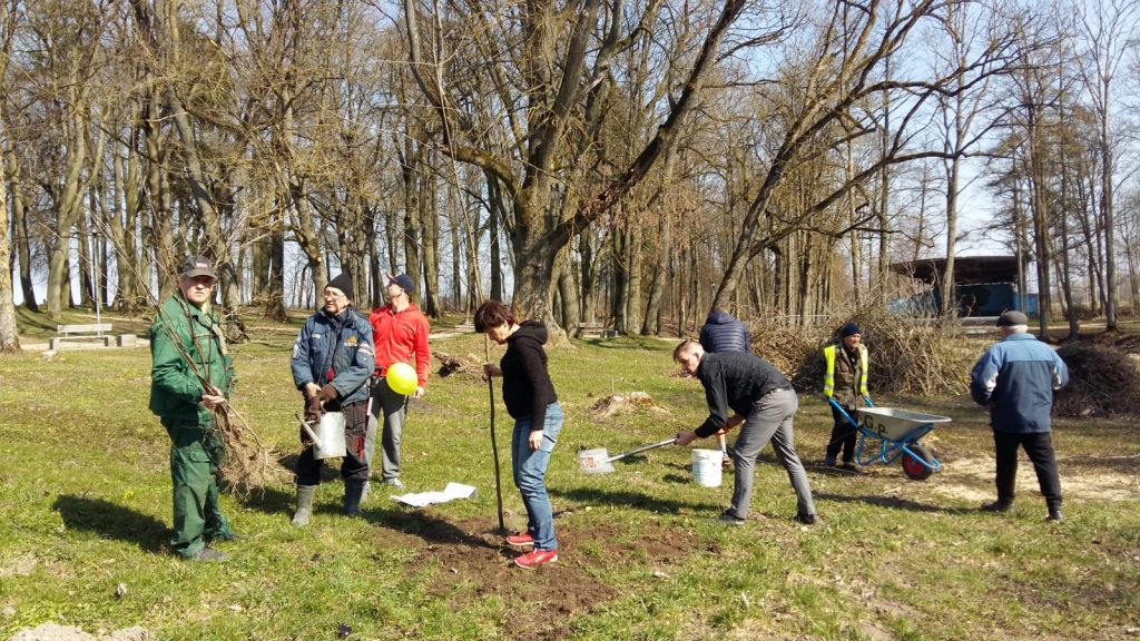 Autors: Ineta Kalnmale