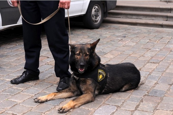 Attēlam tikai ilustratīva nozīme.
Autors: no vp.gov.lv