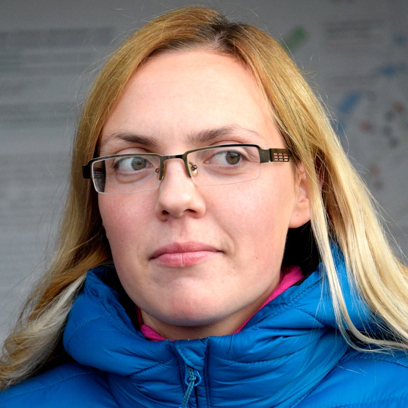 DITA BRIKERE.
Autors: Ivars Bogdanovs