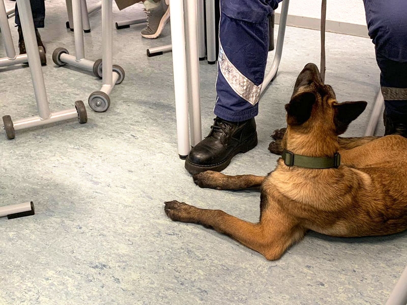 Lai drošības pārbaude būtu kvalitatīva, galvenais palīgs ir apmācīts suns.
Autors: no valsts Policijas arhīva