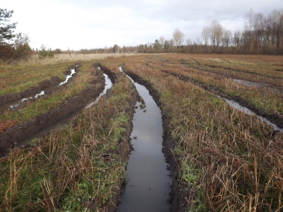 Autors: meiravietis.typepad.com