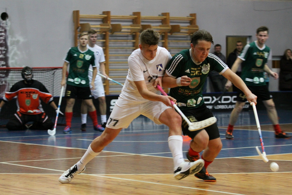 Autors: Elīna Gruncka-Dulbe