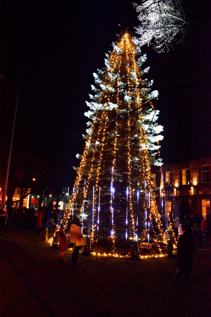 Pirmoreiz iecavnieki egles iedegšanas svētkos varēja izbaudīt gaismas un mūzikas šovu.
Autors: Ivars Bogdanovs