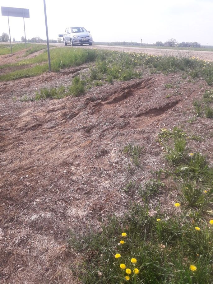 Šopavasar ar indīgām vielām tika nolietas ceļmalas Jelgavas, Bauskas, Rundāles novadā.
Autors: no 