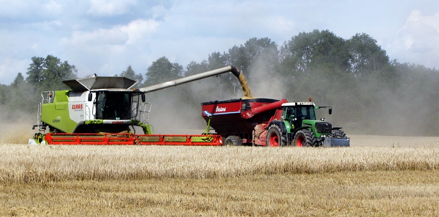 Autors: no «Bauskas Dzīves» arhīva